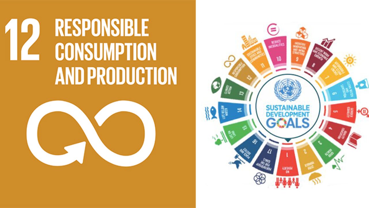SDG 17 - The Coordinated Arrangement Currently Being Undertaken For Corporations To Own The Planet