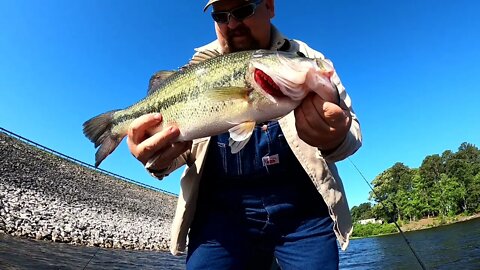 Post Spawn Bass on Lake of The Pines