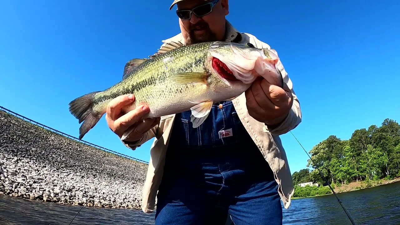 Post Spawn Bass on Lake of The Pines