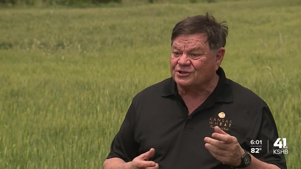 Local farmer worried about drought impact on crop yields