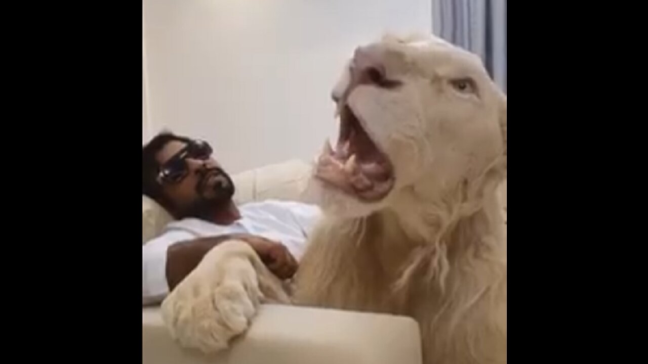 LATIDO