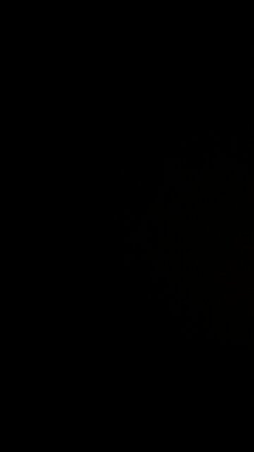 It’s Columbus Day!