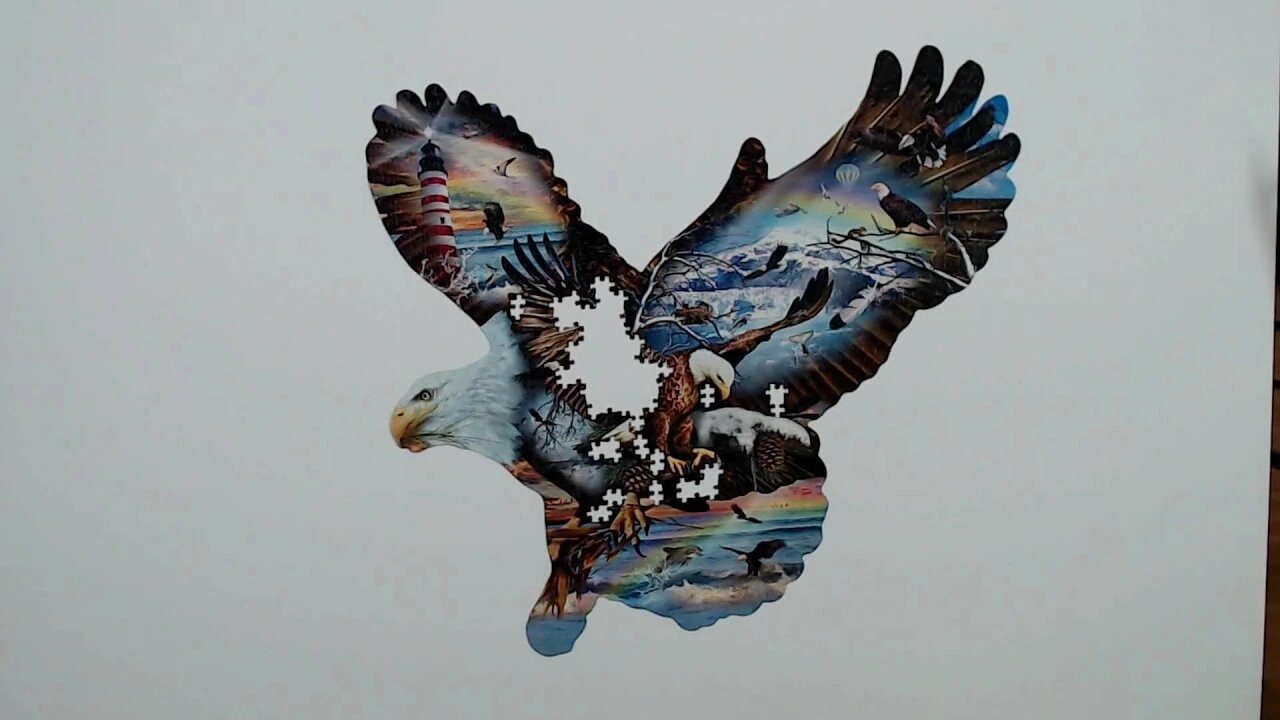 Eagle Eye Jigsaw Puzzle Time Lapse