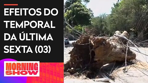 Enel informa que 200 mil imóveis seguem sem energia em São Paulo