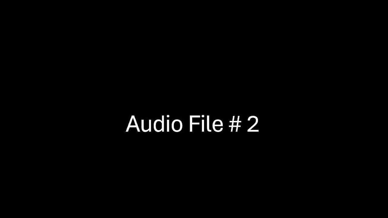 Audio File # 2