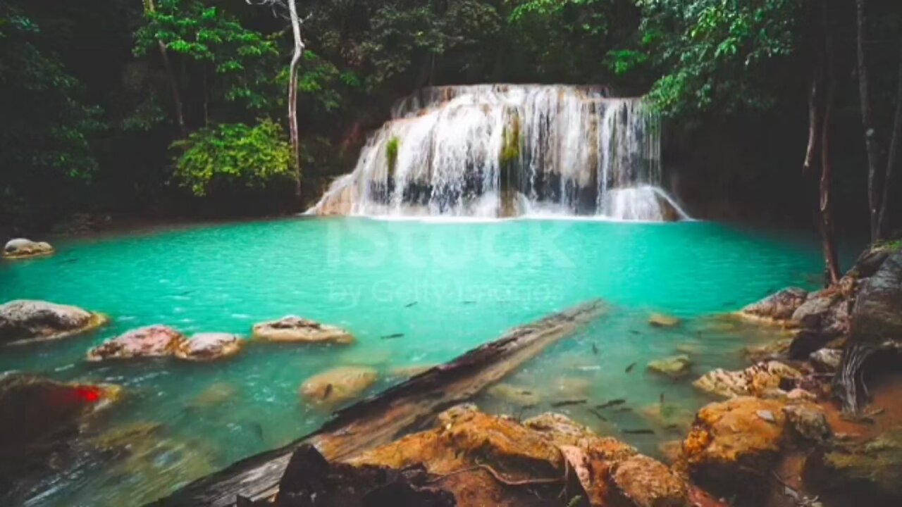 Nature never goes out of style.