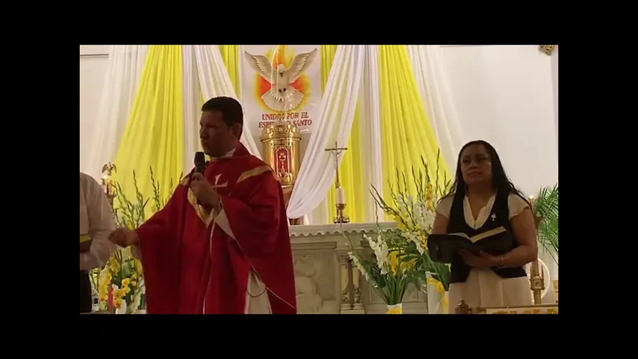 Lo voluntad de Dios. Padre Luis Toro