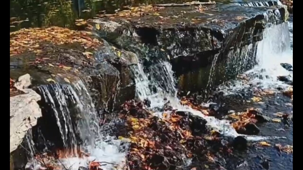 Creekside Park--With Waterfalls, Fountains, Animals