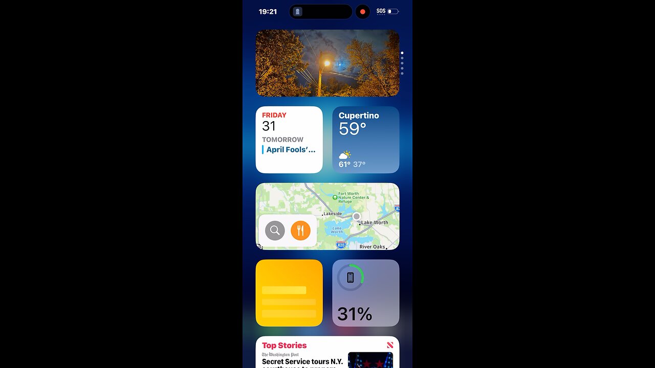 🎼🦁❤️❤️🐑❤️❤️🦁🎼