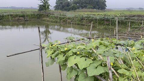 Agriculture of father, on