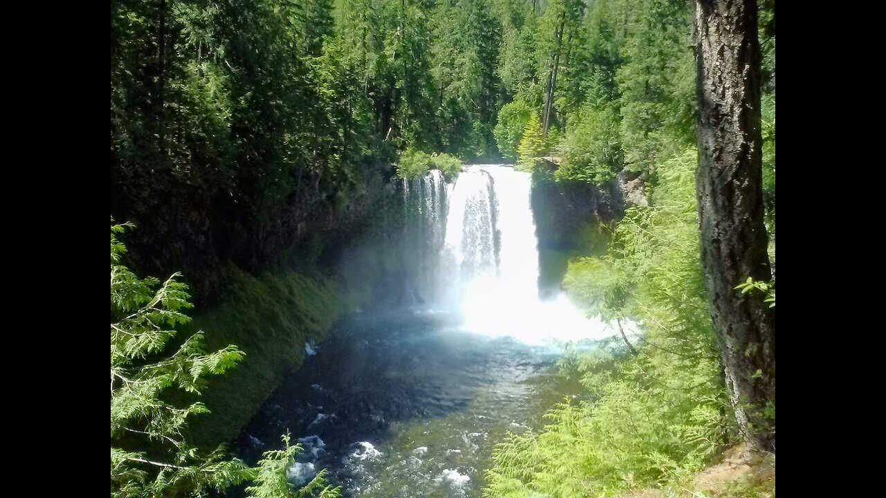 Eugene - Walk the Plank High Above Rushing Waters - Travel Oregon