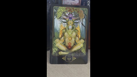 LEO message of the day #leo #tarot #tarotary #DreamsofGaia #RavynnePhelan #dailycard