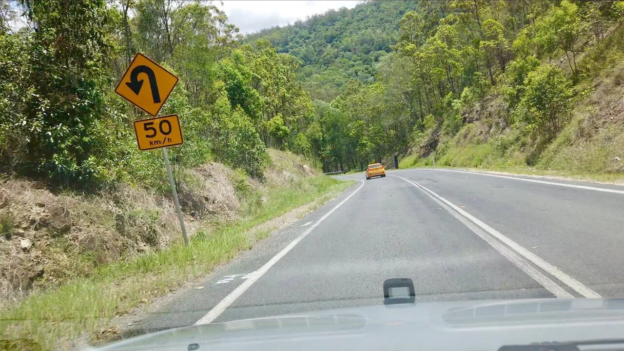 Springbrook Mountain Drive - Up and Down || QUEENSLAND || AUSTRALIA