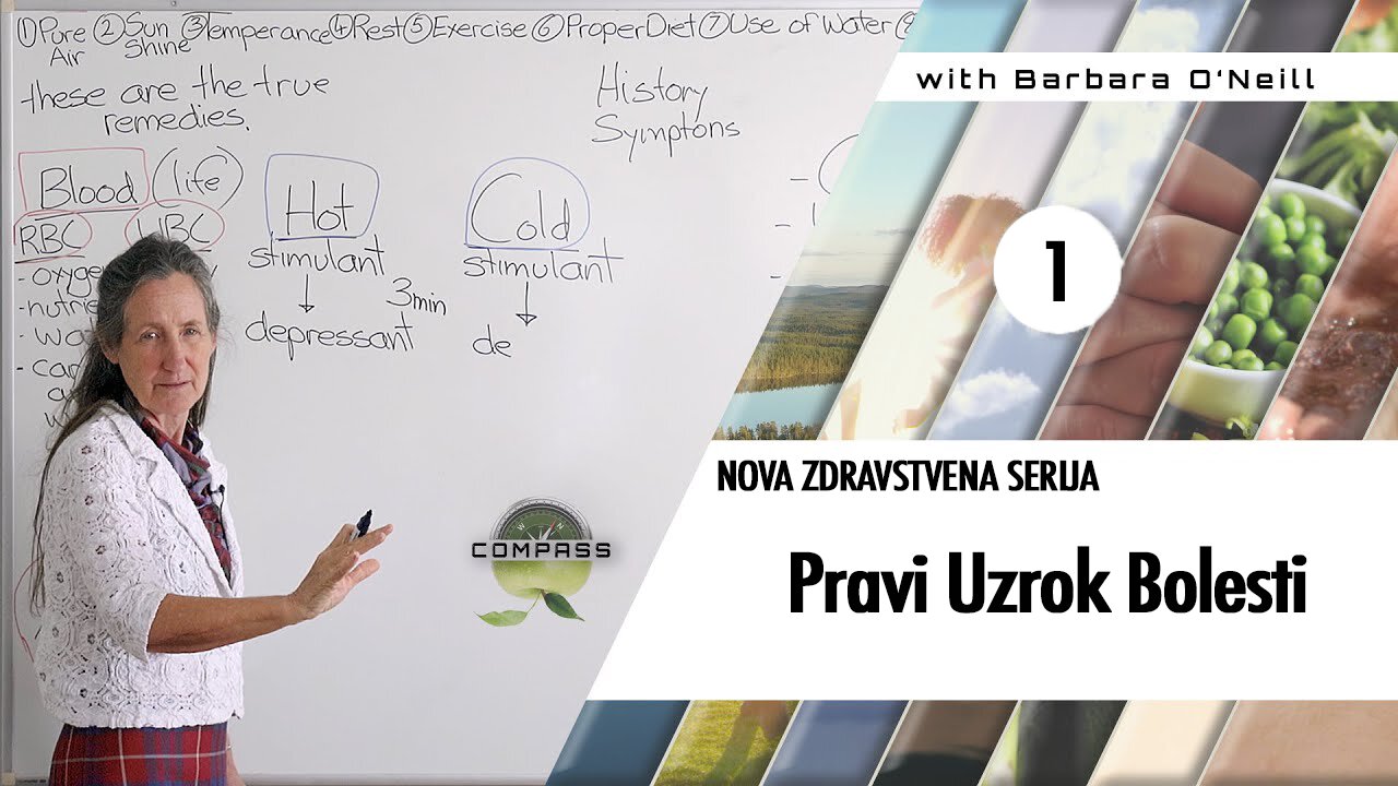 Pravi uzrok bolesti - KOMPAS - Barbara O'Nil