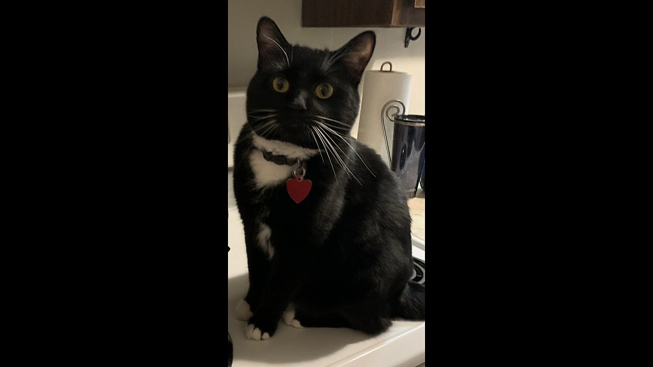 Freddy’s moments of mischief