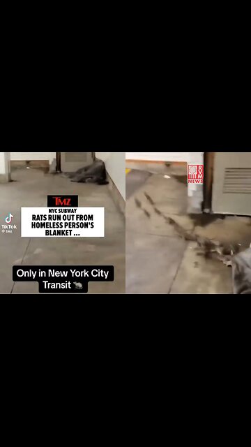 INSANE Footage Of New York City's Rat Infested Subway