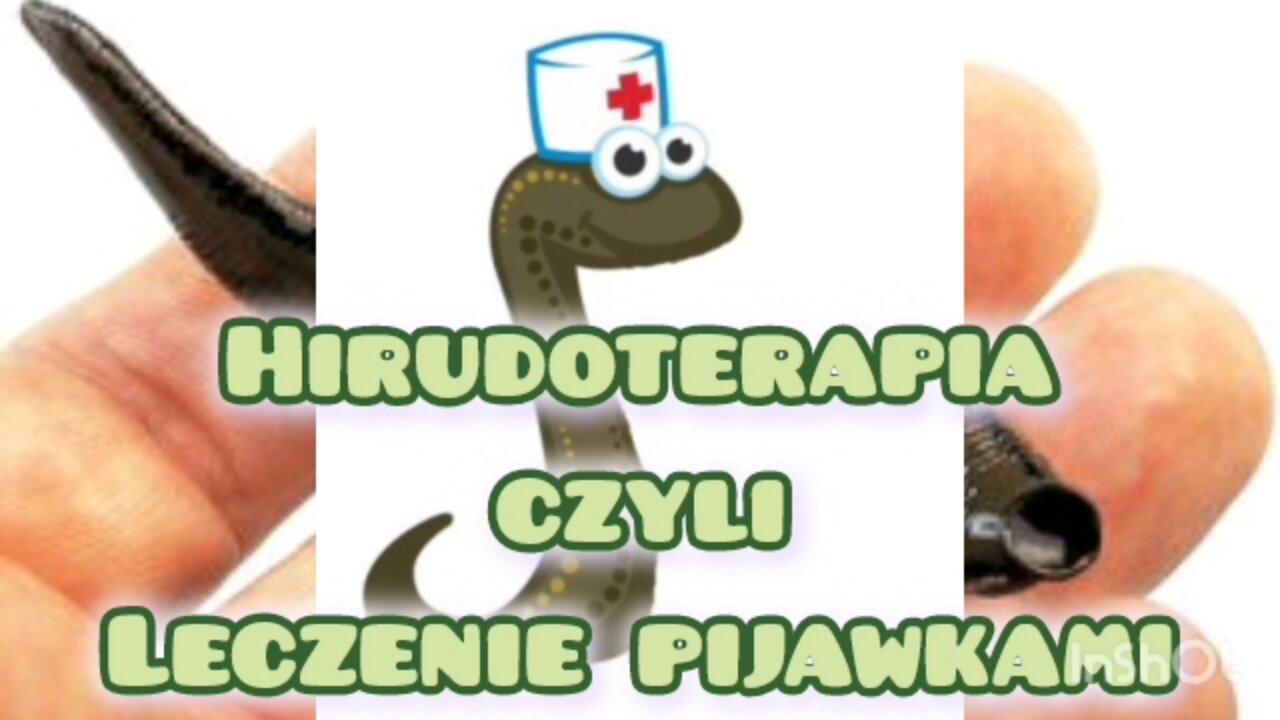 Hirudoterapia, czyli lecznicze pijawki