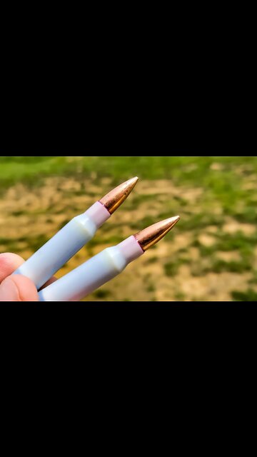 I paid $10/round for this plastic cased 308...... | True Velocity #shorts