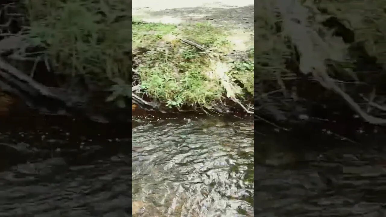 Babbling brook