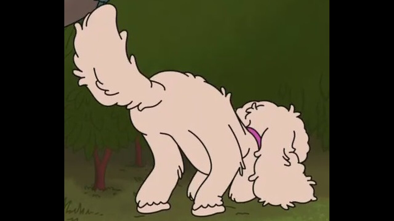 Honey Poodle Butt Moments - Who's A Good Girl?