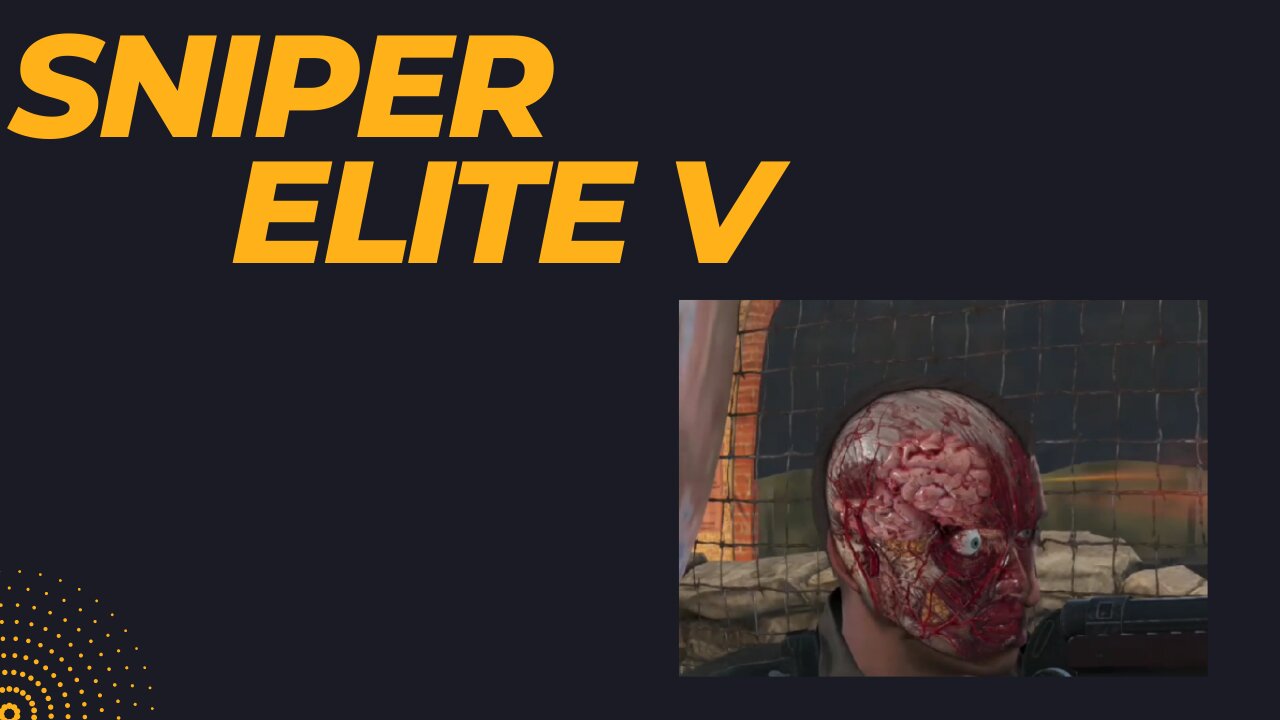 SNIPER ELITE V