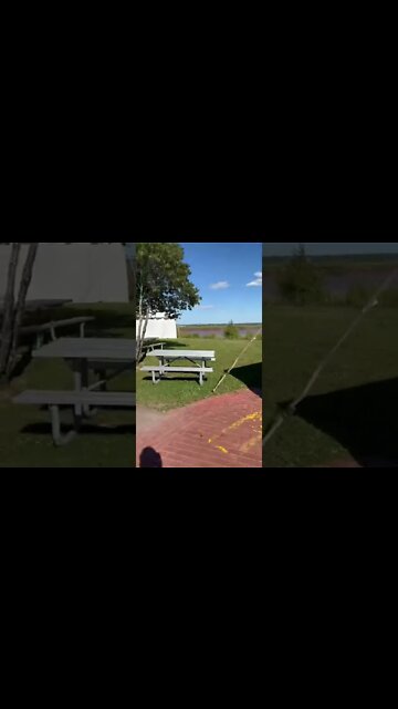 Walking by the river in Moncton