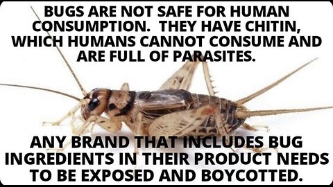Crickets are full of horsehair parasites!