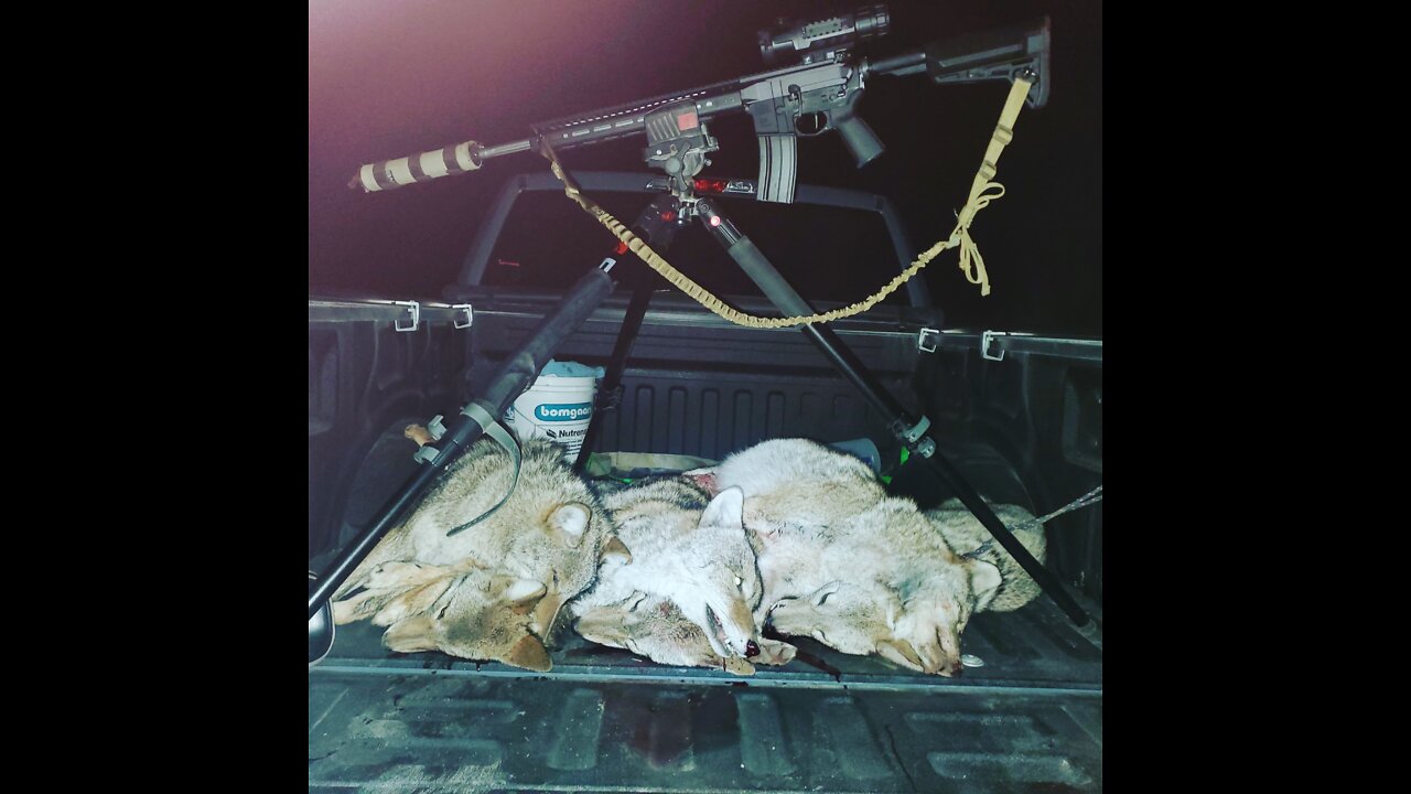 Thermal coyote hunting in Nebraska