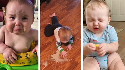 funny babies videos.