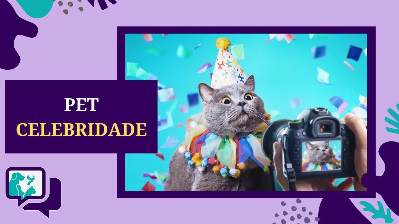 PET STAR - Celebridade Pet - Animais Famosos