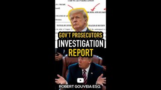 Government Prosecutors UPDATE the Judge on their Investigation #shorts