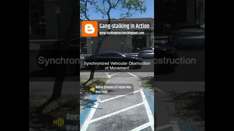 Gang-stalking in Action : The TikTok Edition on YouTube