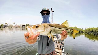 Catching Snook Using Glide Baits!