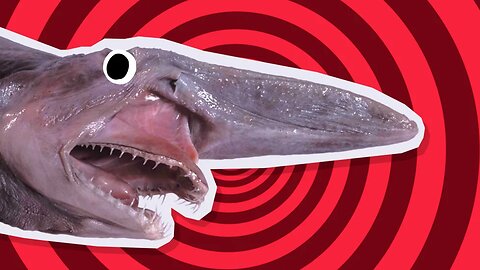 Goblin sharks existed millions of years ago!