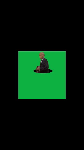 Green Screen biden confused