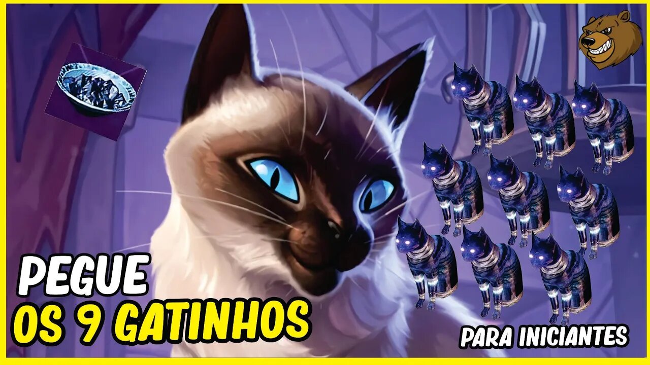DESTINY 2 │ ACHE OS 9 GATINHOS NA CIDADE ONÍRICA / INICIANTES!