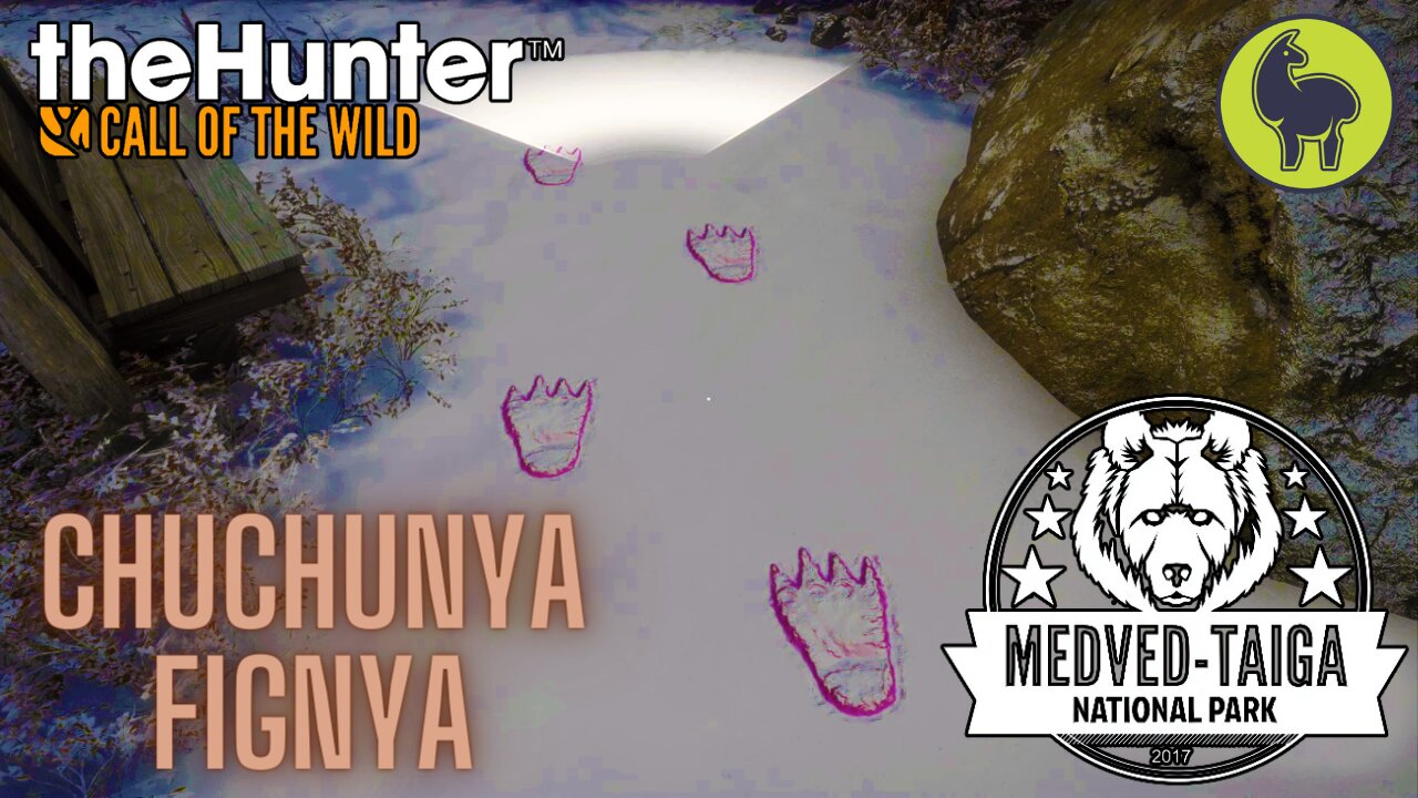 Chuchunya Fignya, Medved Taiga | theHunter: Call of the Wild (PS5 4K)