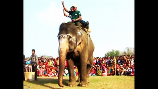 Elephant Festival