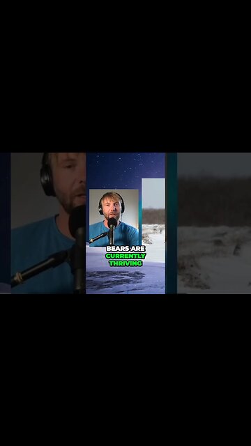 Polar Bear Population Surge #ArcticWildlife #polarbears #polarbear #shorts