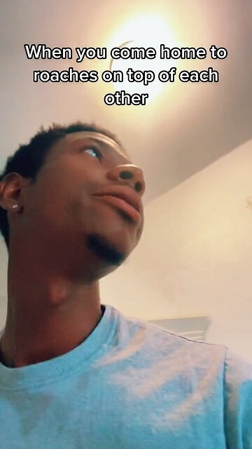 Roaches Getting Too Comfortable