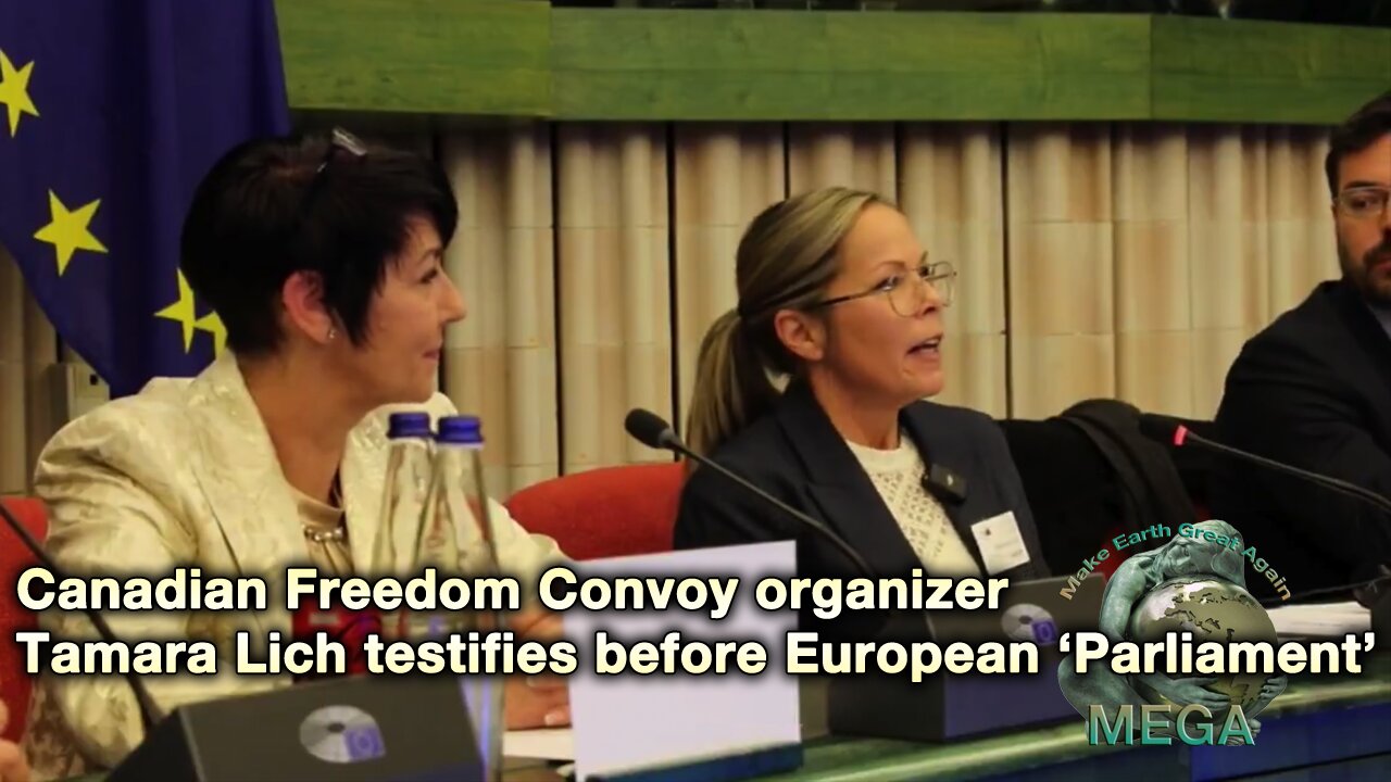 Canadian Freedom Convoy organizer Tamara Lich testifies before European 'Parliament'