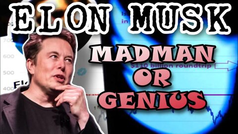 Elon Musk | Madman or Genius | #elonmusk #dogecoin #Twitter