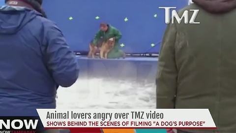 Animal lovers angry over TMZ video