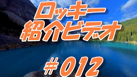 ロッキー紹介ビデオ ＃012