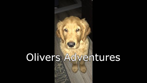 Oliver's Adventures Episode 1