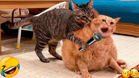 Funny Cats and Dogs Videos. Prevent yourself from laughing if you can🤣 2023! 🥰