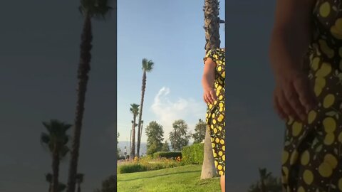 The Cherry Dress And The Palm Trees