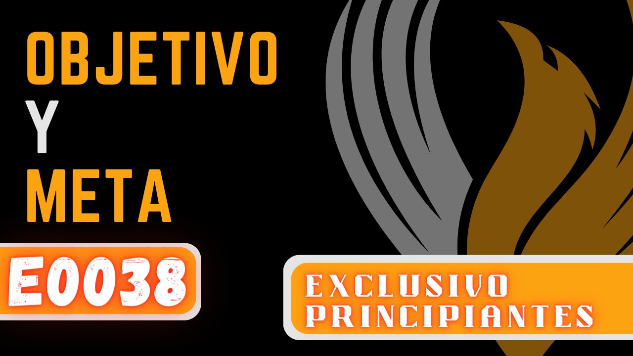E0038 OBJETIVO Y META
