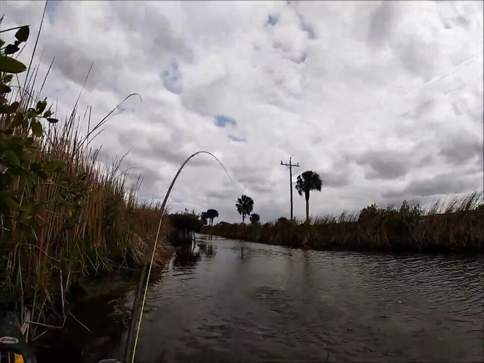 Florida 2020 March - More Florida Snook on the Fly