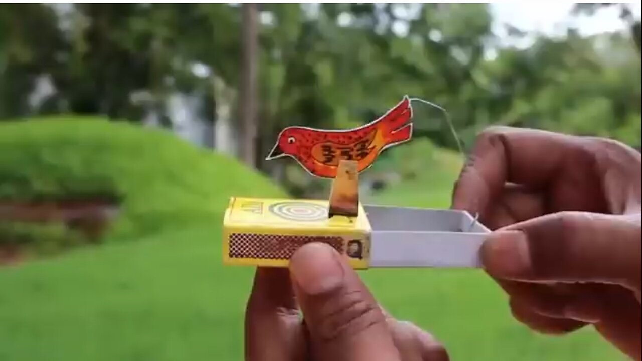 Make a bird's toy in an easy way.